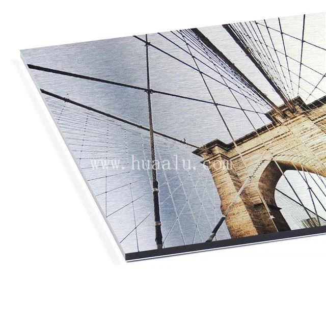 aluminum-composite-panels-for-signs-white-acm (2)